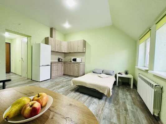 Cozy studio apartment in the center of Kharkiv