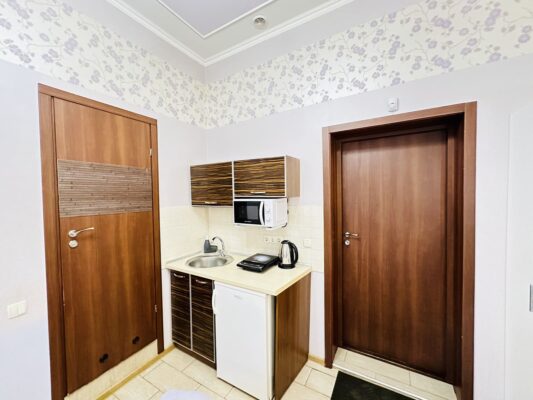 Mini Kitchen in Apartment for Daily Rent