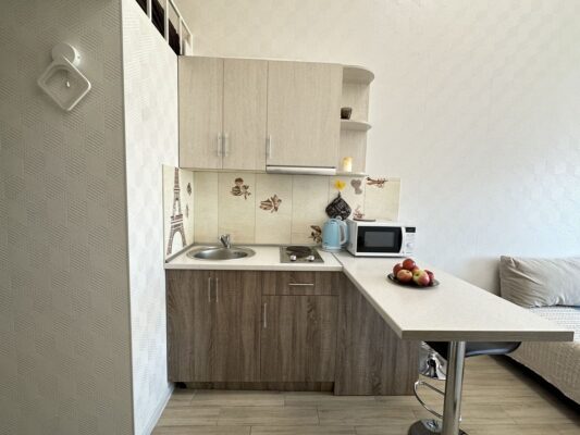 Two-level compact apartment Kharkiv