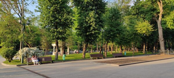 главная аллея парк Шевченко