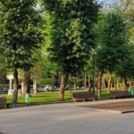 Головна алея парк Шевченка