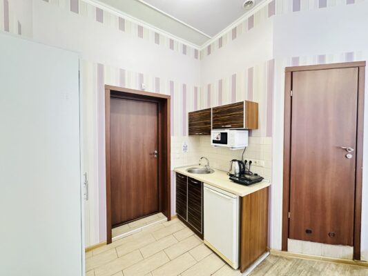 Апартаменти з кухнею у центрі міста